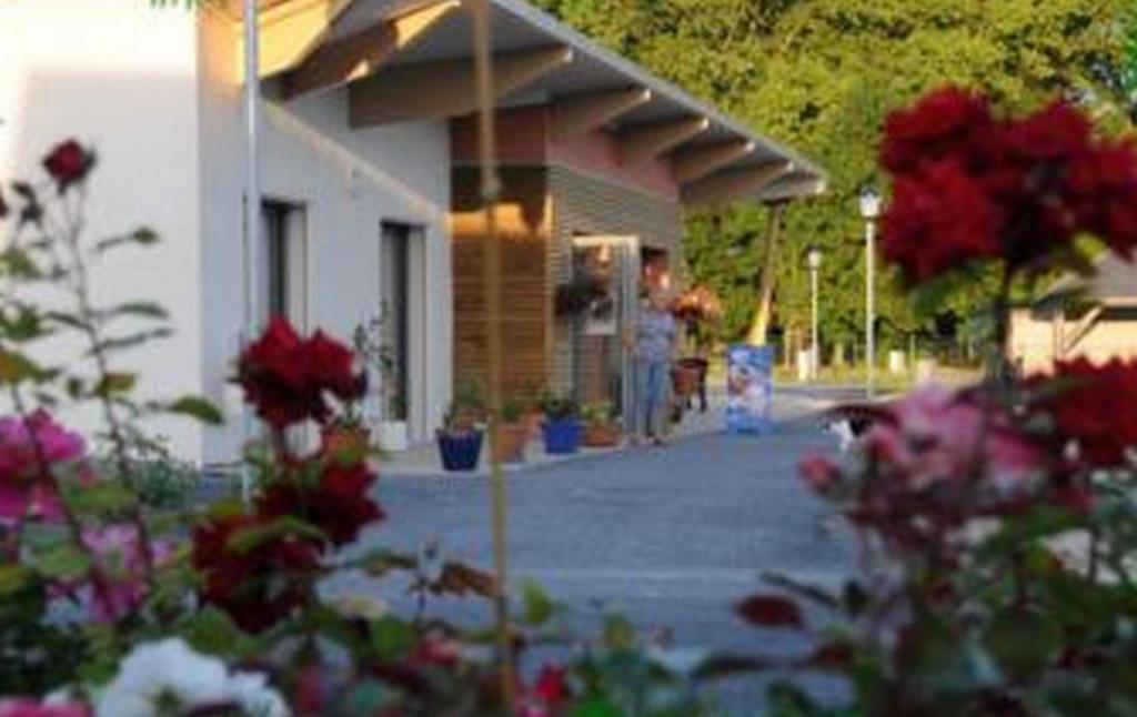 Camping Au Bord De L'Aisne Guignicourt エクステリア 写真